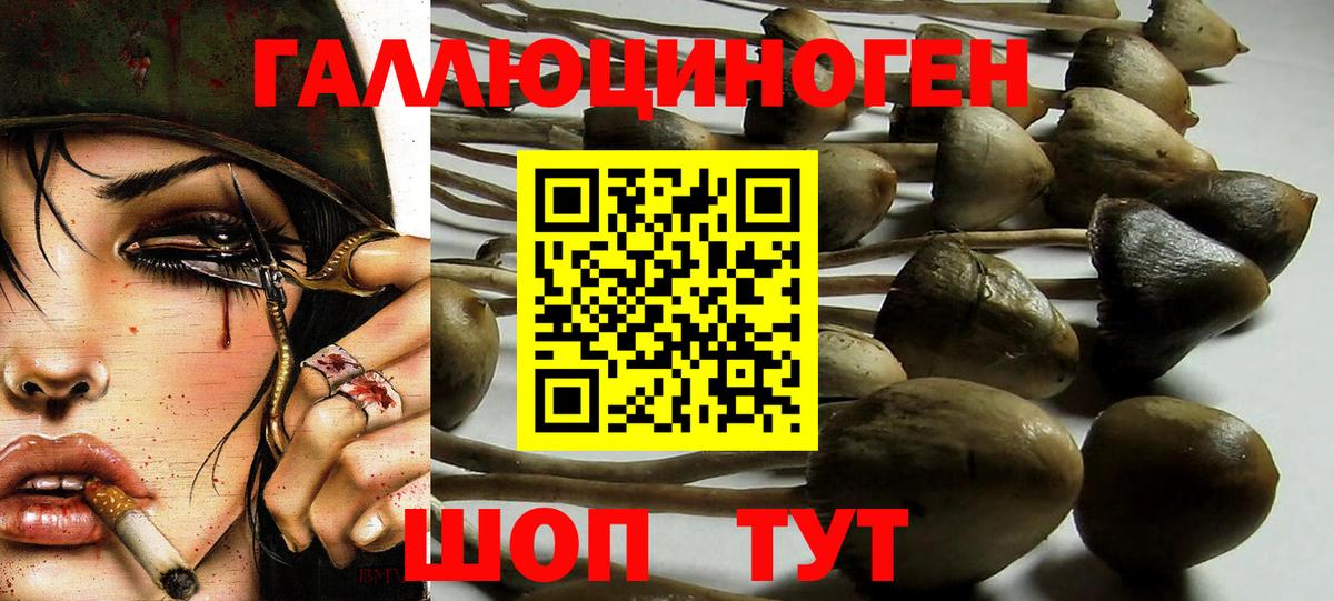 Псилоцибиновые грибы Psilocybine cubensis  Галлюциногенные грибы Psilocybine cubensis  Вход с VPN  Александров 