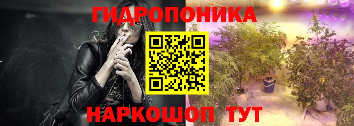 Александров  Марихуана семена  Бошки марихуана Bruce Banner  Вход с VPN  Марихуана семена  Конопля SATIVA & INDICA 